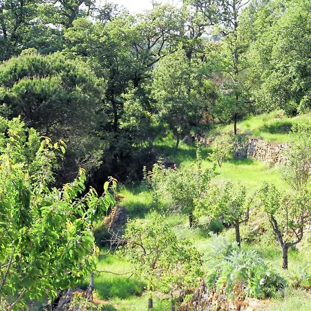 Holiday home Locazione Turistica Casa Quercia Pontedassio